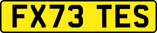 FX73TES