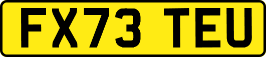 FX73TEU