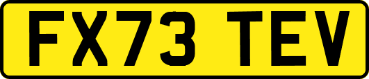 FX73TEV