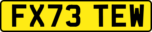 FX73TEW