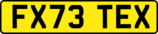 FX73TEX