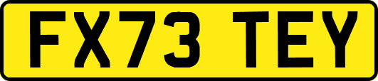 FX73TEY