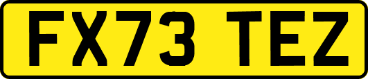 FX73TEZ