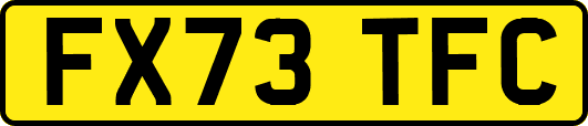 FX73TFC