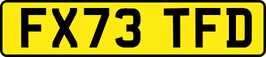 FX73TFD