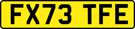 FX73TFE
