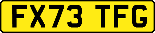 FX73TFG