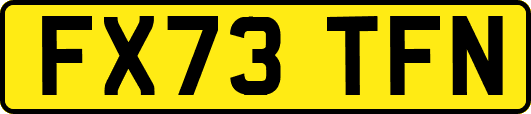 FX73TFN