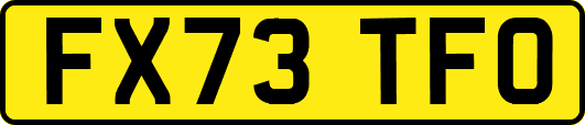 FX73TFO