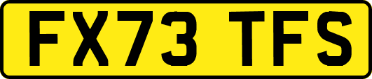 FX73TFS