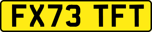 FX73TFT