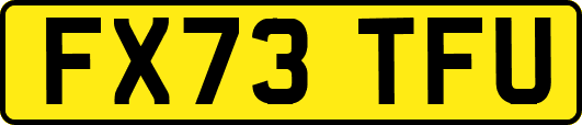FX73TFU