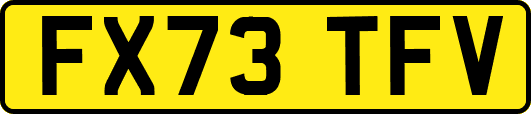 FX73TFV