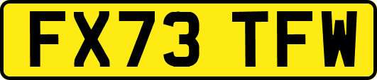FX73TFW