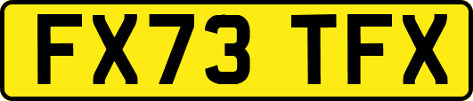 FX73TFX