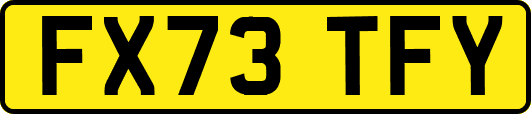 FX73TFY