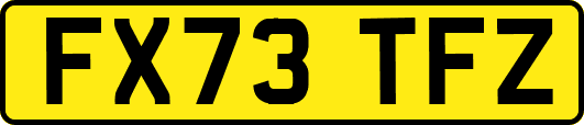 FX73TFZ