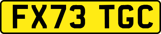 FX73TGC
