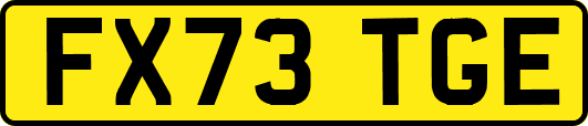 FX73TGE