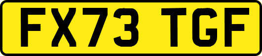FX73TGF
