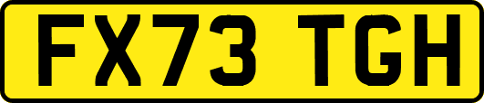 FX73TGH