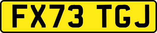 FX73TGJ