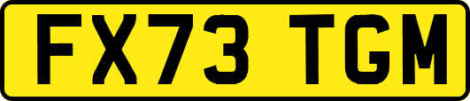 FX73TGM