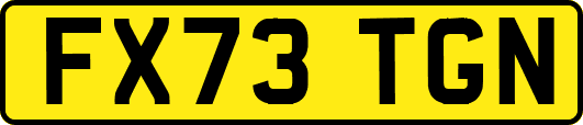 FX73TGN