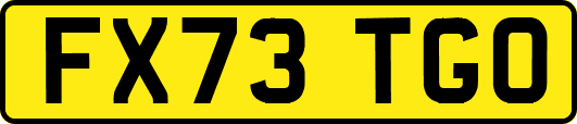 FX73TGO