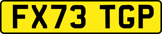 FX73TGP