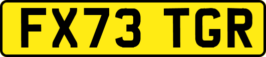 FX73TGR