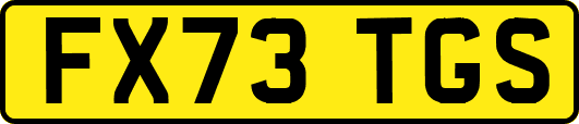 FX73TGS