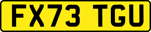 FX73TGU