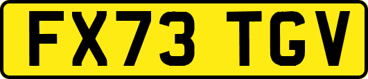 FX73TGV