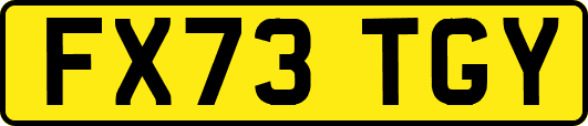 FX73TGY