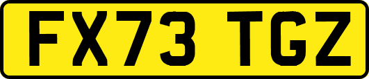 FX73TGZ