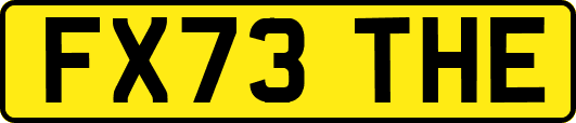 FX73THE