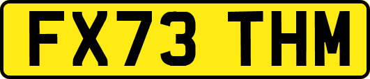 FX73THM