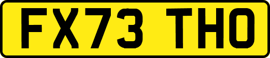 FX73THO