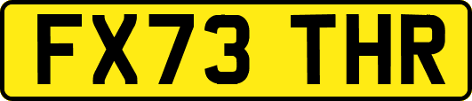 FX73THR