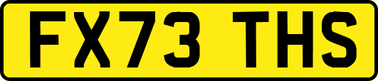 FX73THS