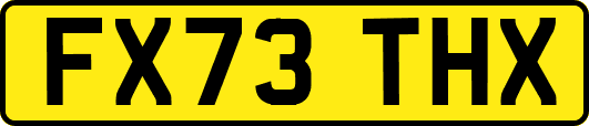 FX73THX