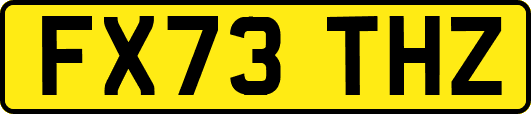 FX73THZ