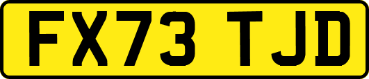 FX73TJD