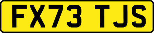 FX73TJS