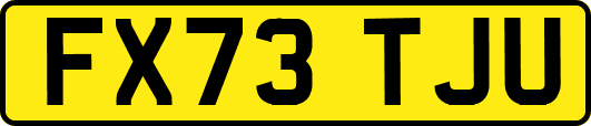 FX73TJU