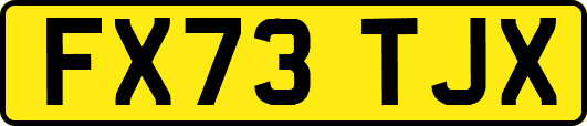 FX73TJX