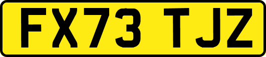 FX73TJZ
