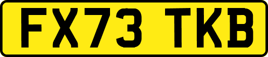 FX73TKB