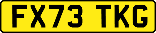 FX73TKG